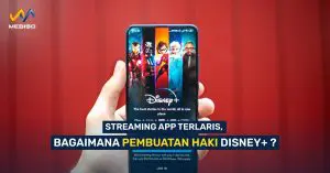 Streaming App Terlaris, Bagaimana Pembuatan HAKI Disney+