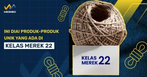 Produk-Produk Unik Yang Ada Di Kelas Merek 22