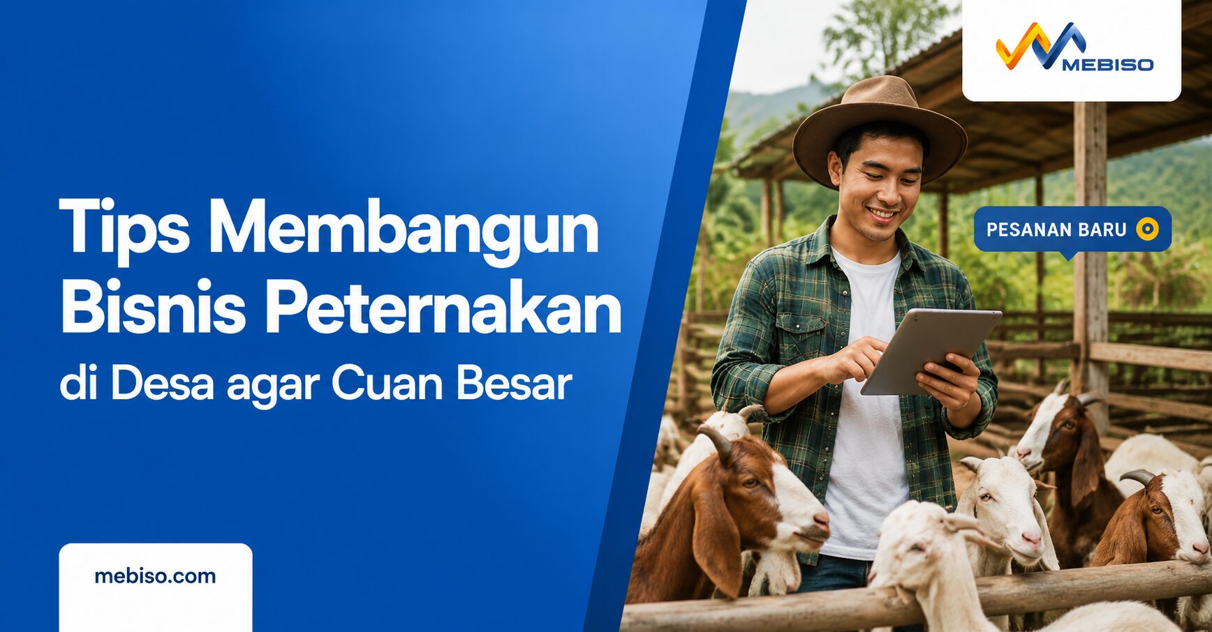 Tips Membangun Bisnis Peternakan di Desa agar Cuan Besar